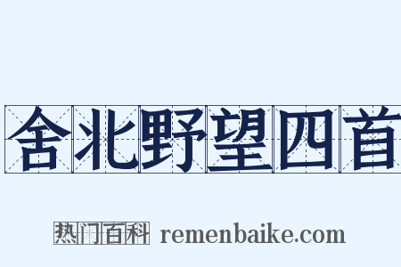 舍北野望四首是什么意思的图片